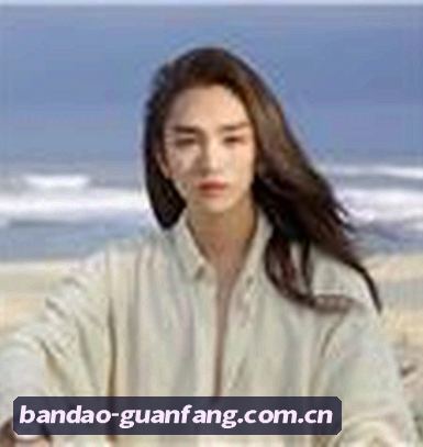 陈磊